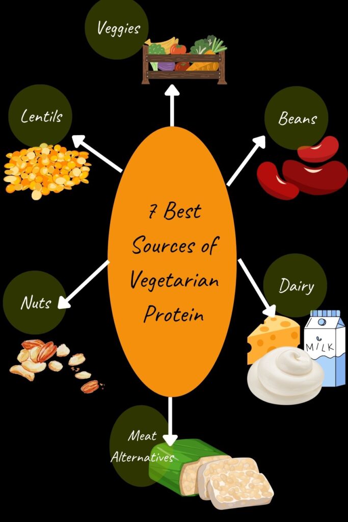 We list the 7 best vegetarian protein sources that anyone on a vegan diet and explore some of the best ways to ensure adequate intake.